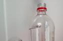 Iriq i bërë nga kone pishe Iriq i bërë nga një shishe plastike